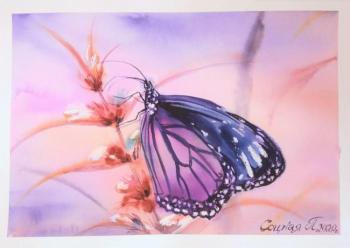 ������� �������� � ����� �����