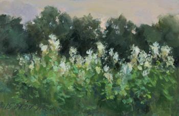 Картина «Таволга на закате»