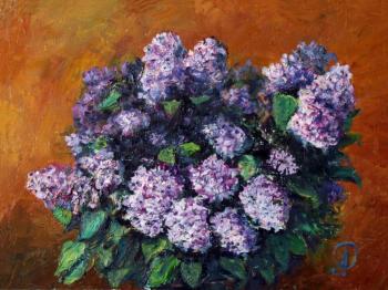 Lilac (etude). Redko Alfiya