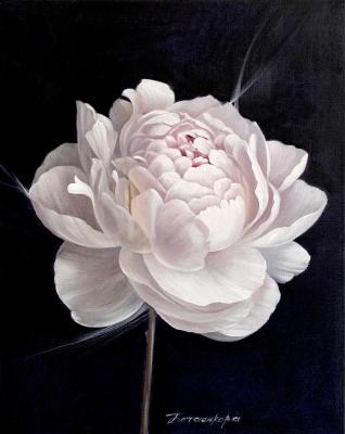 ����������� ����. ���������� ��������