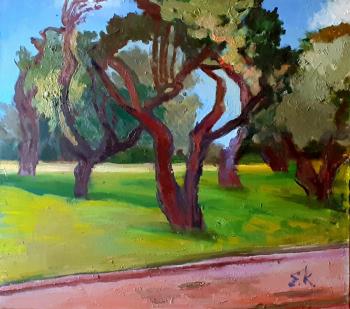 Kolomenskoye. Orchard in spring