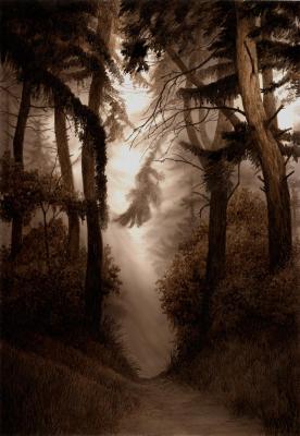 ��� ����� ����. ������ ������