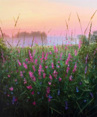 ������� ��� ����