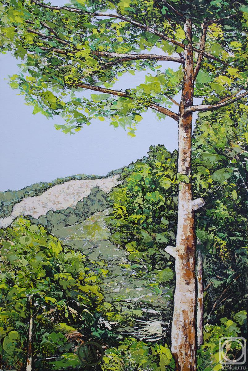 ������� ������ �� ������. ��� ������. ������ ��������� �����. 3