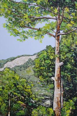 ������ ��������� �����. 3. ��� ������