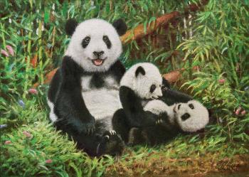 ��� ���������� � ����. �������� �����