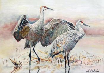 ������� ����������