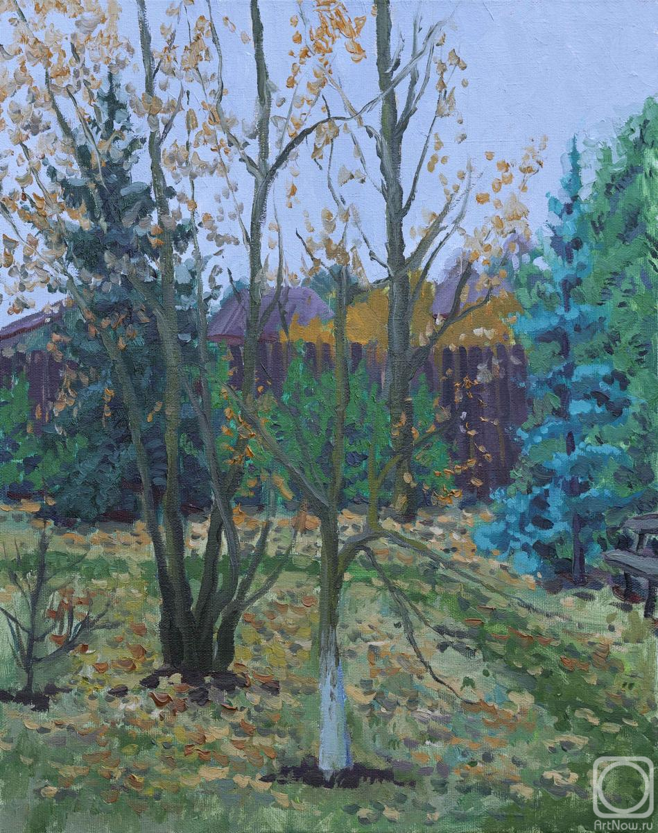 ������� ������ �� ������. �������� �������. ����� ������