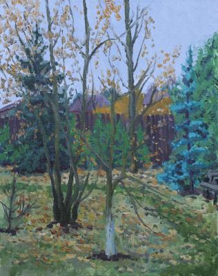 ������� ������ �������