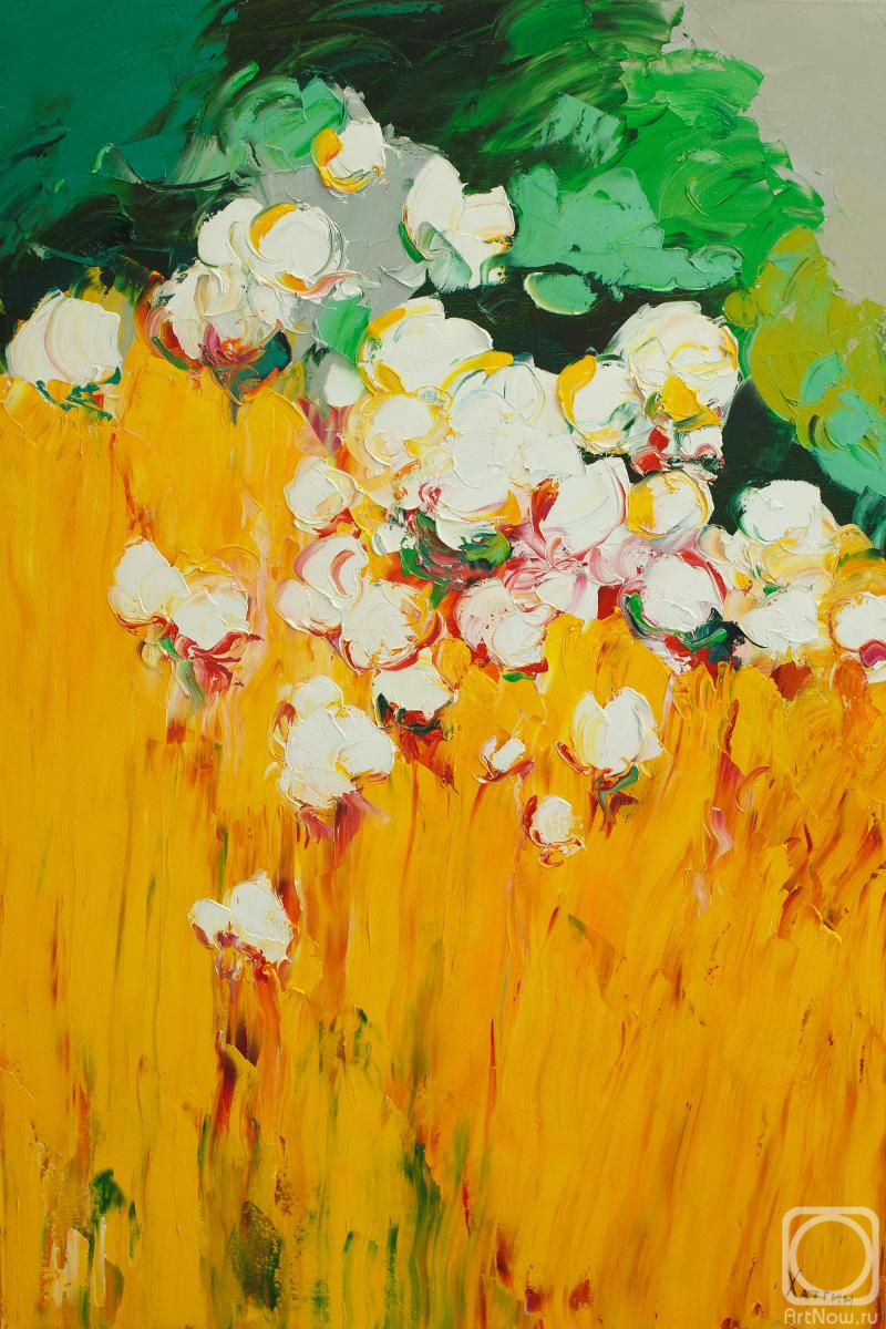 ������� ������ �� ������. ������ �������. ����� �����