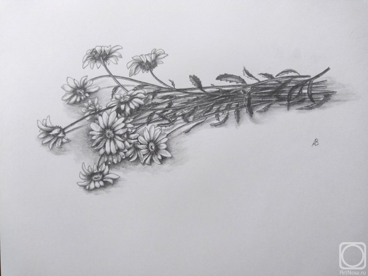 �������. ������� ��������. ����� �������