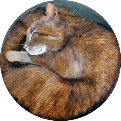 ����� (Sleeping Cat). �������� �����