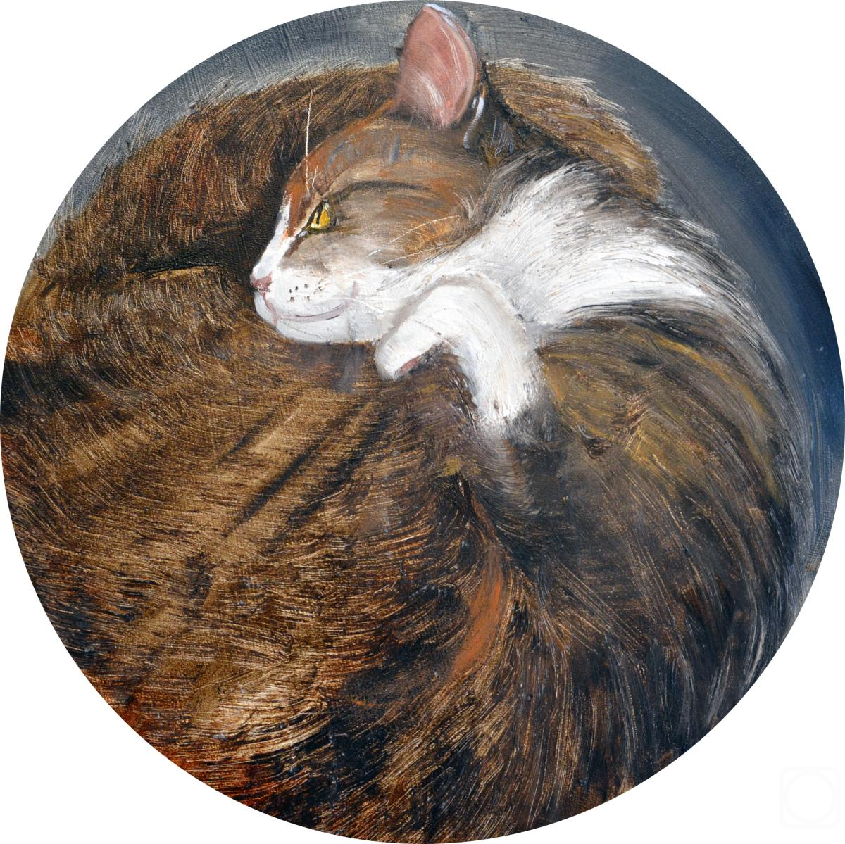 �������. �������� �����. �������������