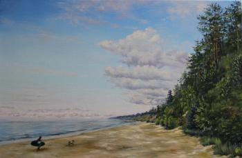 ��������, ������ ����. ������� �������