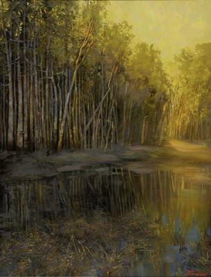 The Black Swamp. Maklashin Boris