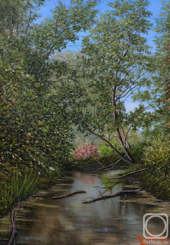 ������� ������ �� ������. ����� ����. ���������. ����