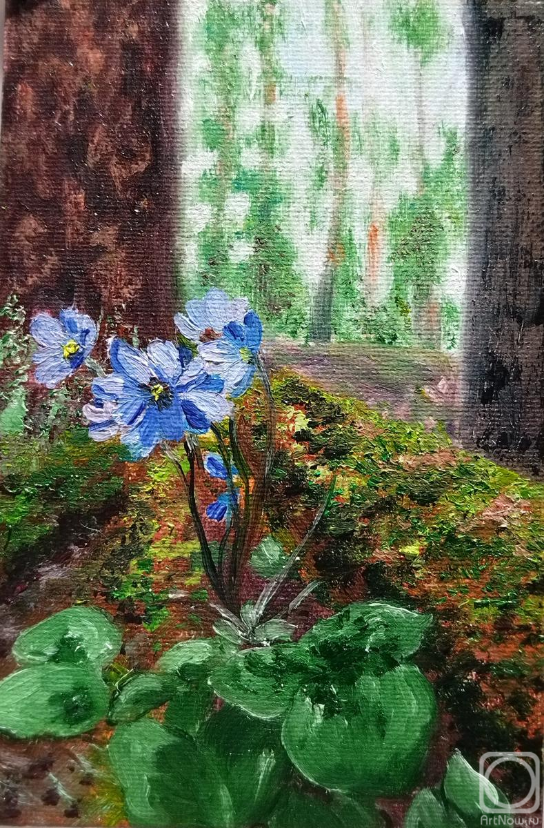 ������� ������ �� ������. �������� ���������. ������� ������ �������� ���