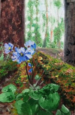 ������� ������ �������� ���. �������� ���������