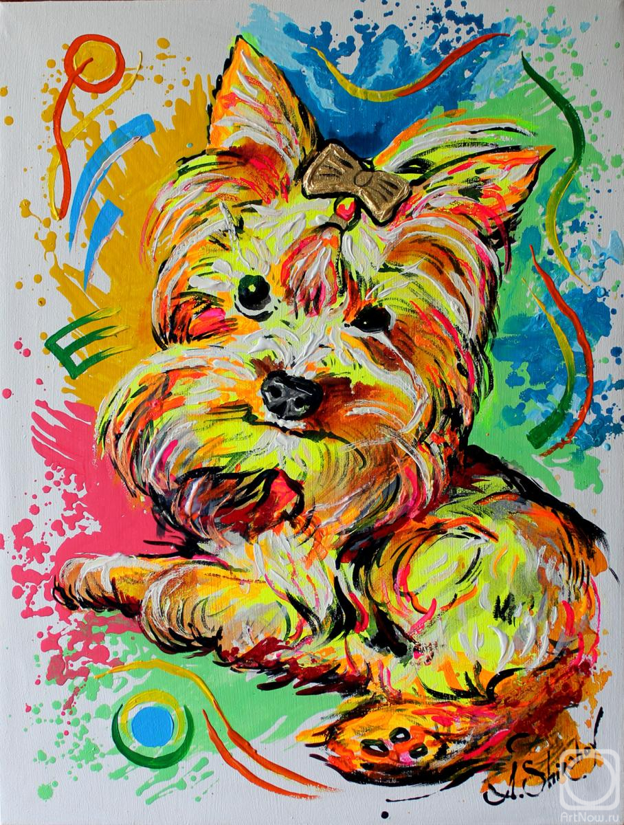 Shirshov Alexander. Beautiful Yorkie