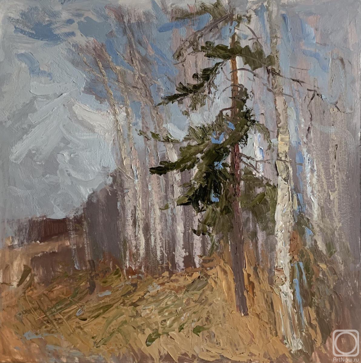 Bolotskaya Lyudmila. Untitled