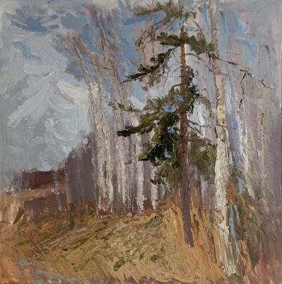 ������� ��������� ����