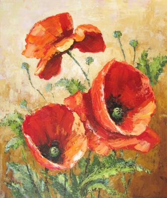 Poppies