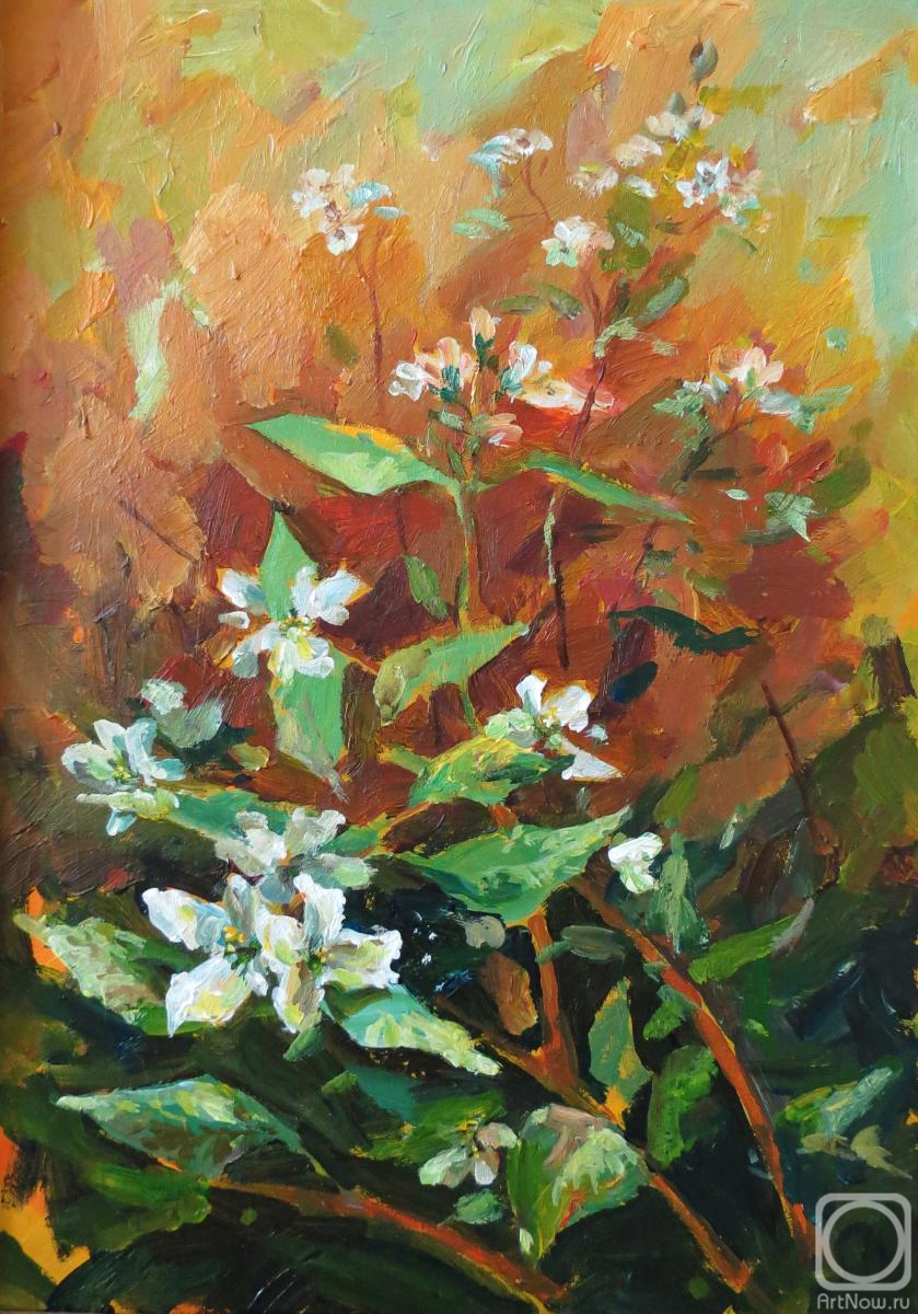 �������. �������� �����. ������ ������