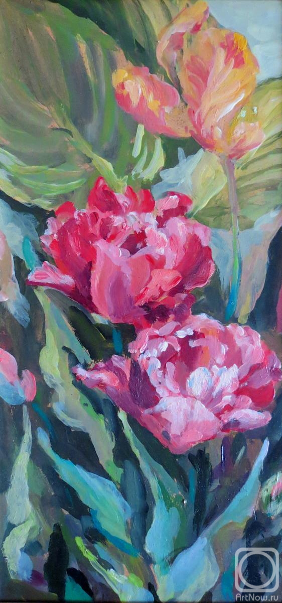 �������. �������� �����. �������� ��������