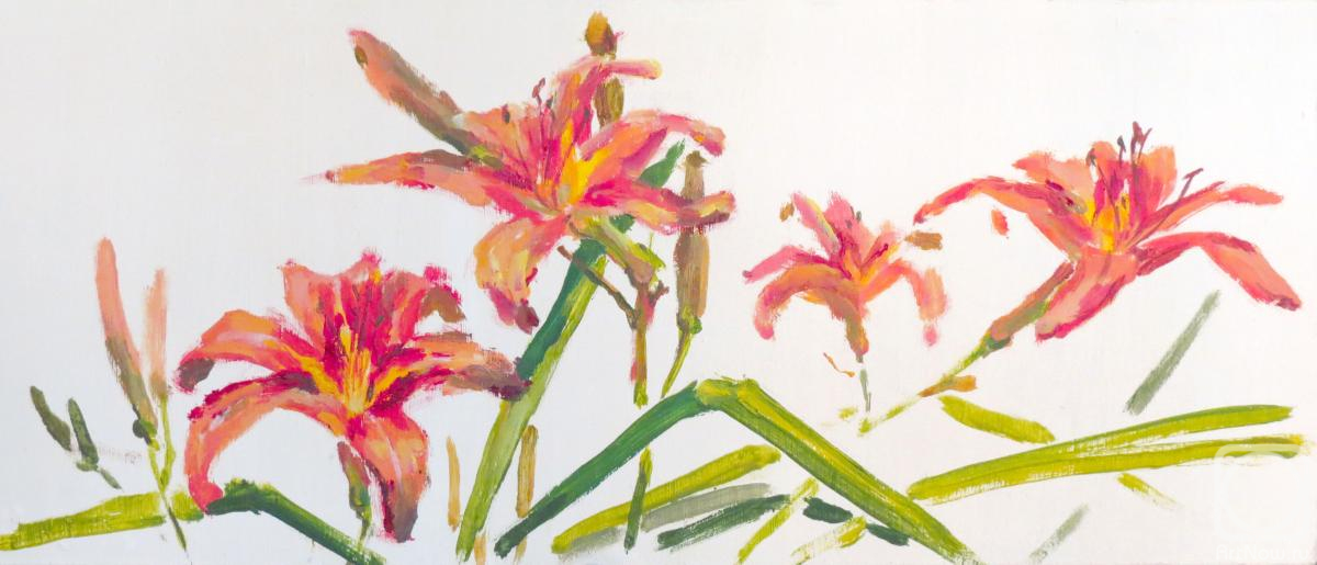 �������. �������� �����. ����� �����