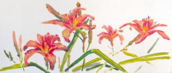 ������� ������ �����