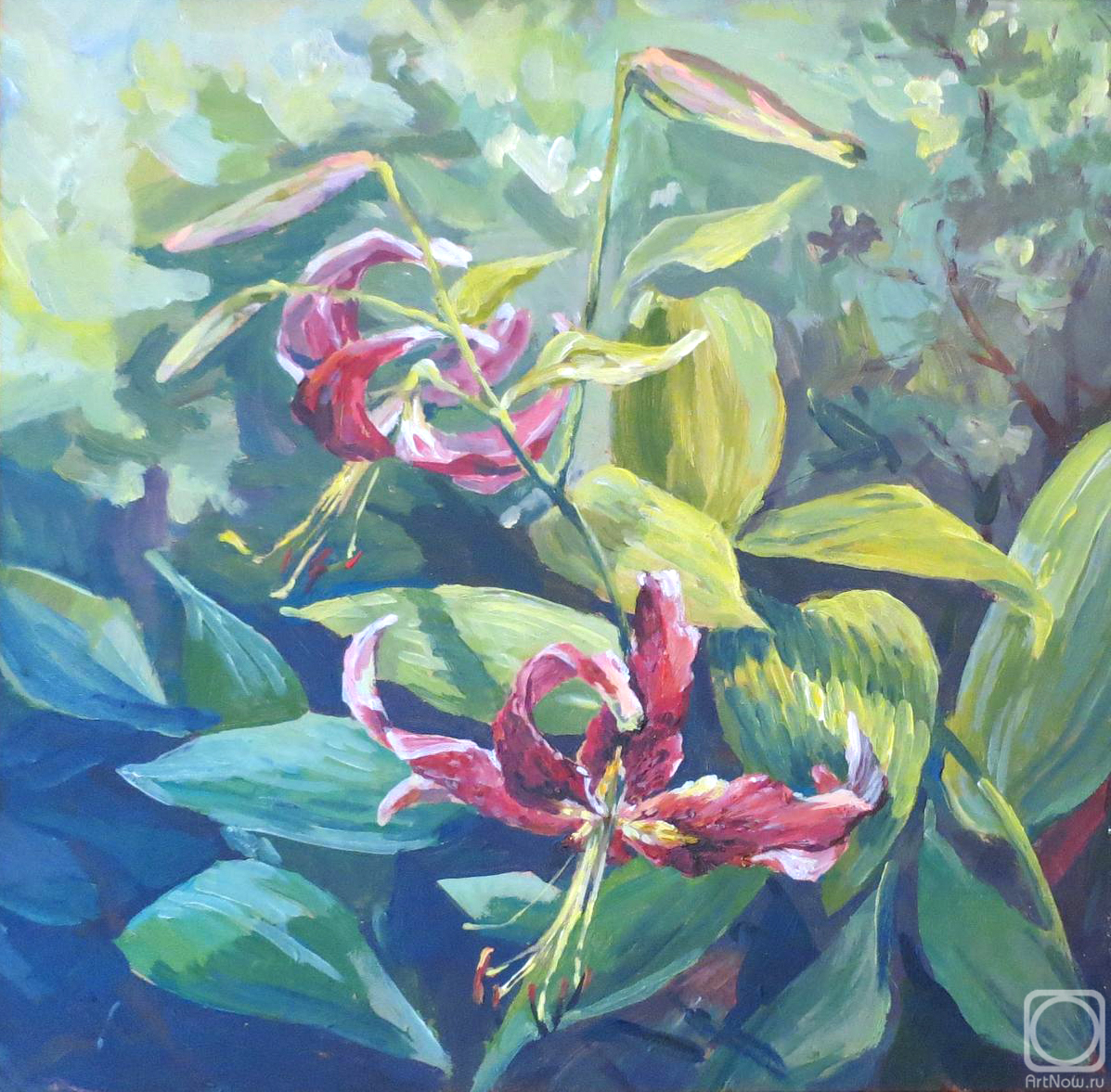 �������. �������� �����. � ���� ����