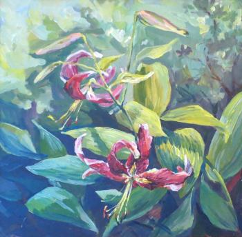 ������� �� ���� ����