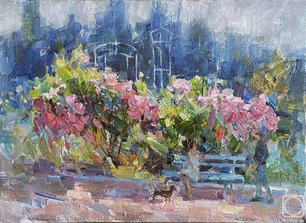 ������� ������ �� ������. �������� �����. � �����