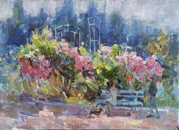 ������� �� �����