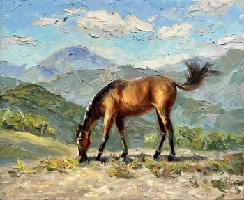 Wild Horse of the Caucasus. Krasyukova Olga