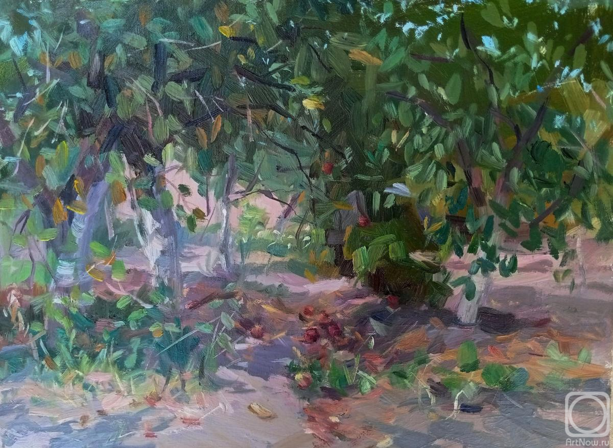 ������� ������ �� ������. ������� ��������. ������ (����)