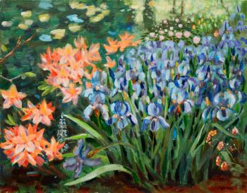 ������� �������� ���