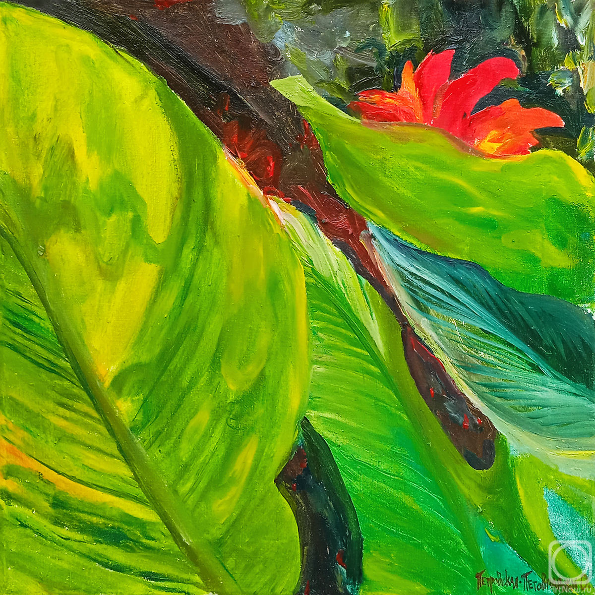 ������� ������ �� ������. ����������-���������� �����. ���� ����� (1)