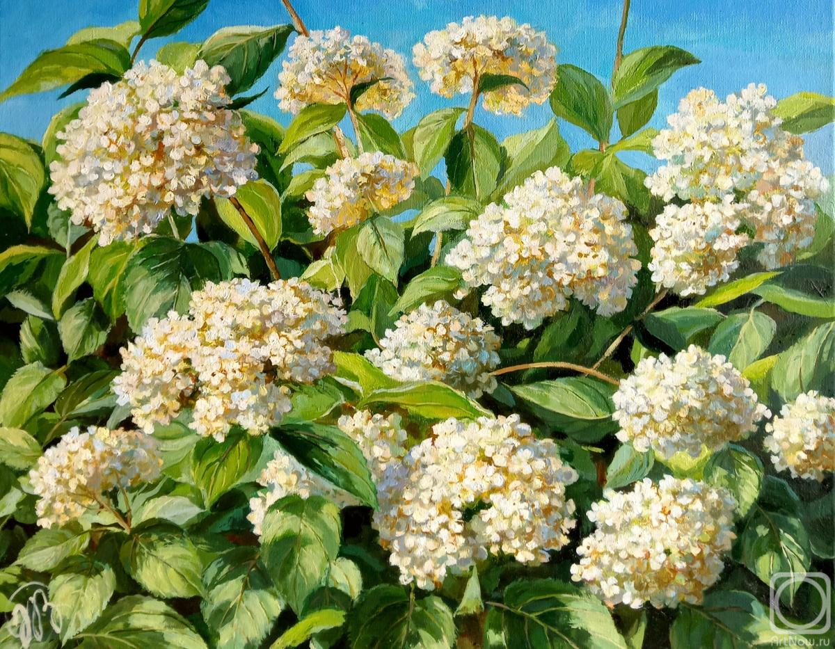 ������� ������ �� ������. ������� �������. ��������� 3. ���������