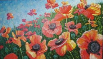 Turkish Poppies (Turkish Landscape). Bryzgunov Anatoliy