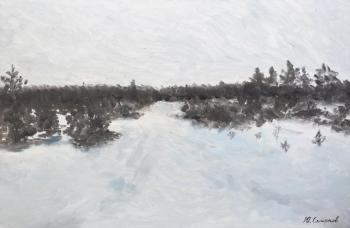 Winter road on Dubravnaya