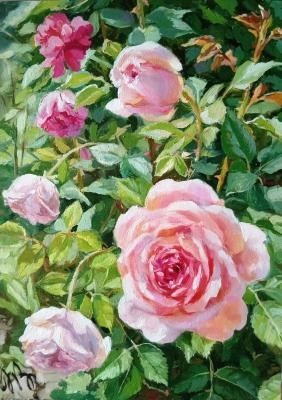 ������� ���������� 4. ������� �����