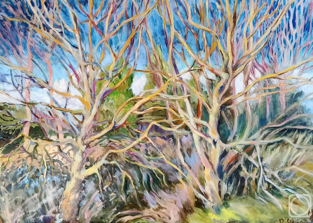 �������. ����������� �����. ������ �����