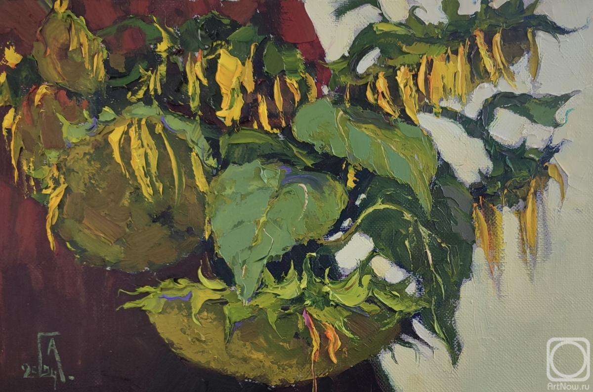 ������� ������ �� ������. ���������� �������. ����������, ���� 2024