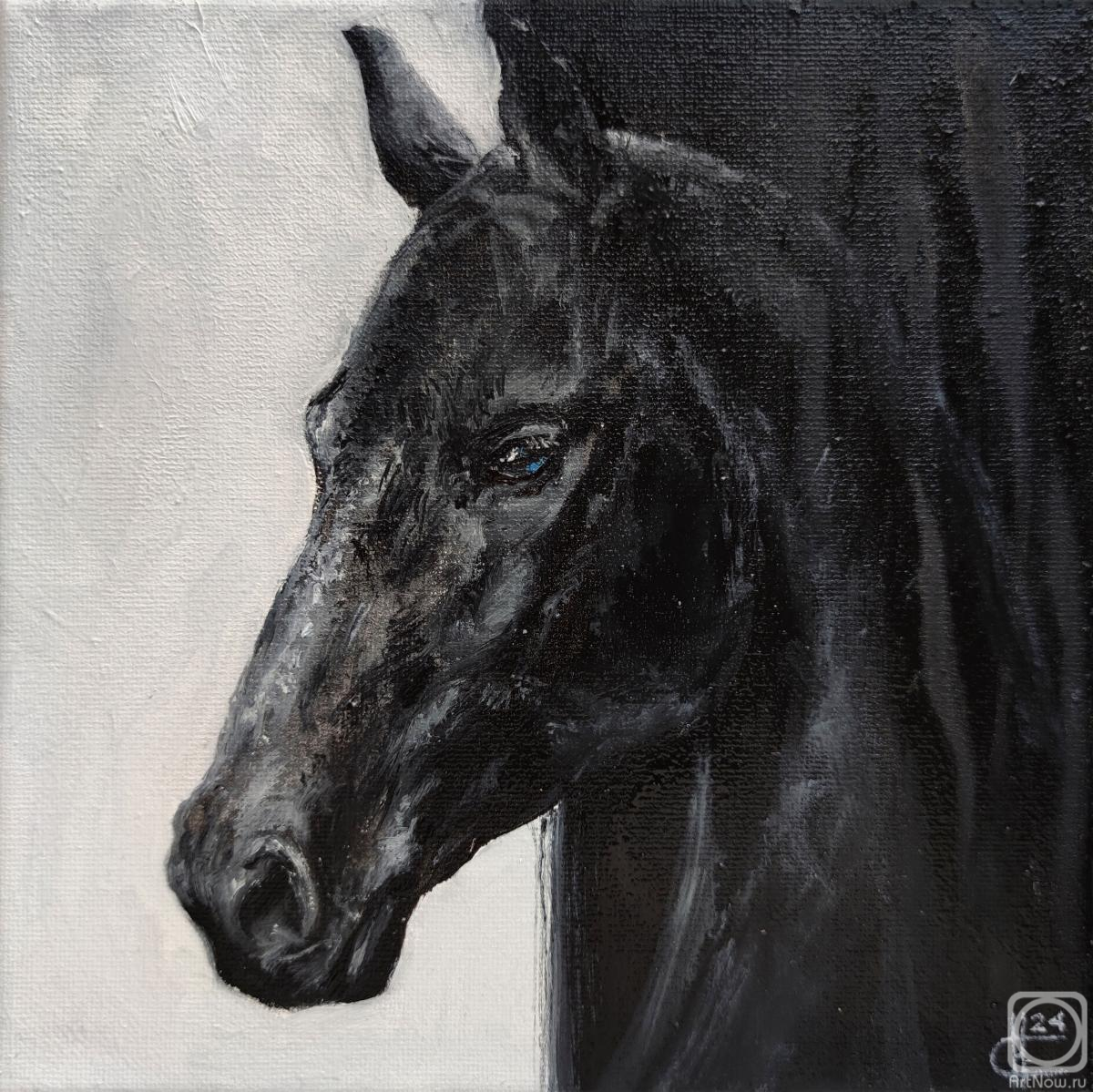 ������� ������ �� ������. ������ �������. ����������. ����. ��������. ����� "�������� ���������"