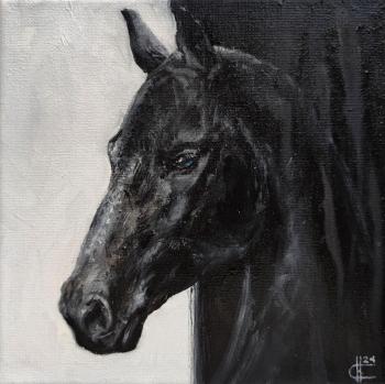 ����������. ����. ��������. ����� "�������� ���������". ������ �������