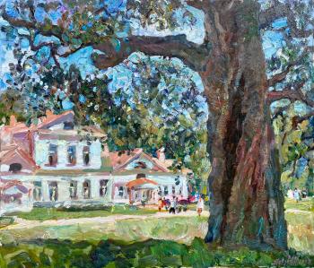 Old pedunculate oak in Abramtsevo. Zhukova Juliya