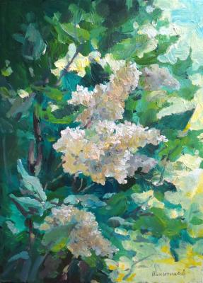 ������� ��������