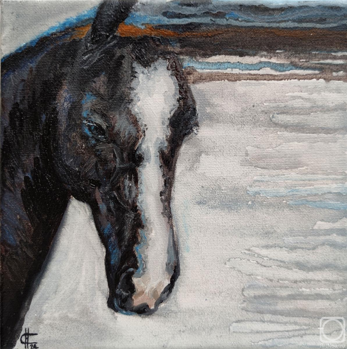 ������� ������ �� ������. ������ �������. ���� ����. ��������. ����� "�������� ���������"