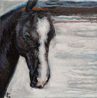 Your own way. Intuition. State Squares Series